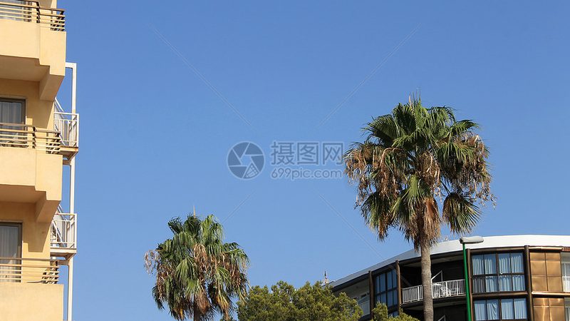 民宿运营托管公司十大品牌：揭秘行业背后的故事
